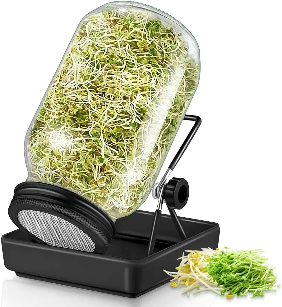 kielkownica-sloikowa-kielkownik-sloik-do-kielkow-naczynie-na-nasiona-kielki