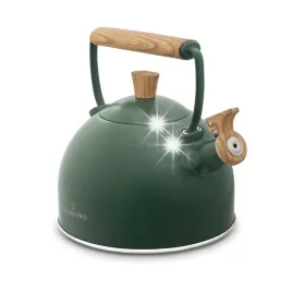 czajnik-na-gaz-indukcja-z-gwizdkiem-zielony-stal-starke-pro-harit-ii-25-l