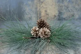 verbena-pinia-cukierki-ziolowe-z-witamina-c-60-g