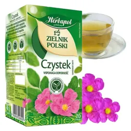 czystek-zielnik-polski-herbata-herbapol-herbatka-ziolowa-20-torebek