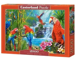 puzzle-2000-parrot-meeting-castor-castorland