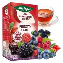 herbapol-herbaciany-ogrod-herbata-herbatka-owocowa-prosto-z-lasu-20-torebek
