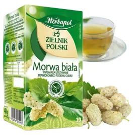 morwa-biala-zielnik-polski-herbata-ziolowa-herbapol-20-torebek