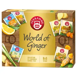 teekanne-world-of-ginger-kolekcja-herbat-zestaw-imbir-30-kopert