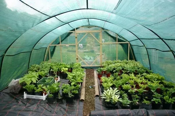 siatka-cieniujaca-maskujaca-90percent-ogrodzenie-15x50m-opaski-zacisk-zielona-stan-nowy