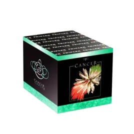 bateria-wyrzutnia-fajerwerki-cancer-rak-16s-25mm-txb216-triplex