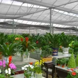 siatka-ceniujaca-na-plot-15x25m-maskujaca-grafit-stan-nowy-kod-producenta-nie-podano