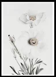 plakat-na-sciane-do-salonu-piekne-biale-kwiaty-neutral-40x30-cm