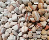 otoczak-magic-rainbow-kamien-dekoracyjny-premium-big-bag-1-tona-kod-producenta-5907813162756