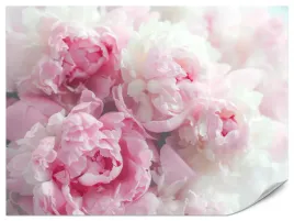 fototapeta-do-sypialni-salonu-peonie-piwonie-kwiaty-natura-boho-400x280