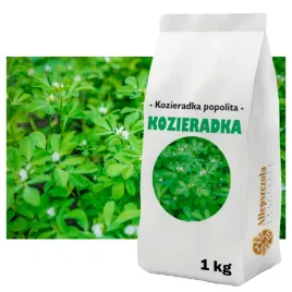 kozieradka-pospolita-poplon-roslina-miododajna-ziarno-1-kg