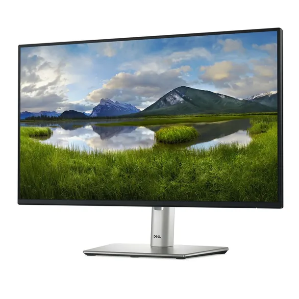 dell-24-inch-full-hd-ips-led-rodzaj-podswietlania-led