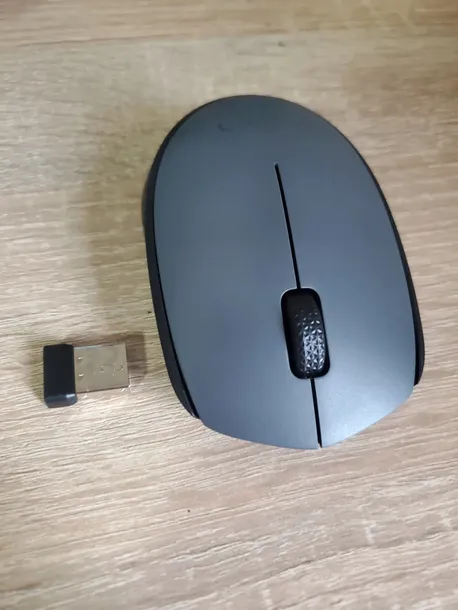 logitech-m170-mouse-wireless-model-m170