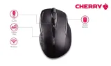 cherry-mw-3000-ergo-infrared-mouse-liczba-przyciskow-5