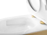 rea-wc-carlo-mini-tornado-nfq-white-gold-poziom-odplywu-poziomy
