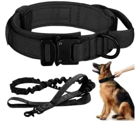 profesjonalna-obroza-taktyczna-psa-metalowa-klamra-mocna-smycz-34-44-cm-m