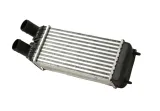 intercooler-citroen-berlingo-08-