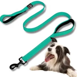 smycz-dla-psa-miejska-double-handle-odblask-rico-18m-mocna-turkus-20