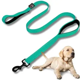 smycz-dla-psa-miejska-double-handle-odblask-rico-18m-mocna-turkus-25