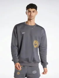 reebok-bluza-meska-cl-gv-crew-ht6117-grafitowa-klasyczna