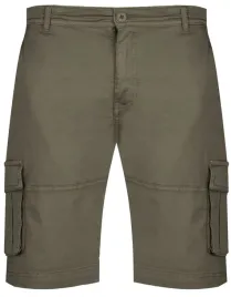 u-s-polo-assn-meskie-szorty-bojowki-sear-143-66361-53065-446-spodenki