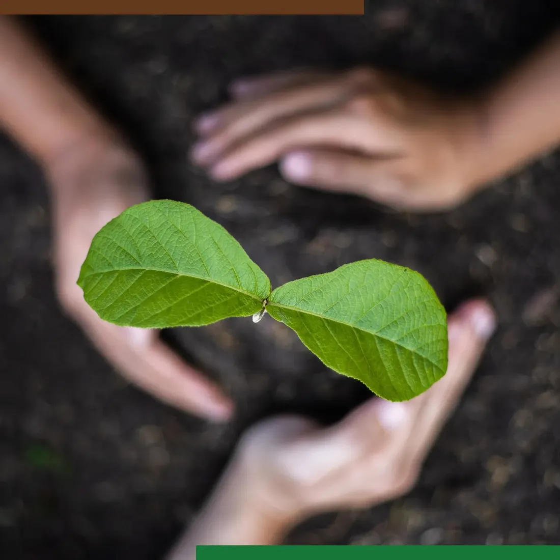 navigator-360-sl-1l-srodek-na-chwasty-do-rzepaku-na-chaber-komosa-dymnica