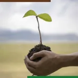 navigator-360-sl-1l-srodek-na-chwasty-do-rzepaku-na-chaber-komosa-dymnica-waga-1-25-kg