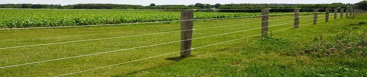 elektryzator-redyk-a4-12v-marka-horizont