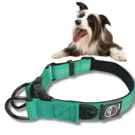 obroza-dla-psa-mocna-rico-30-40cm-odblask-podwojny-ring-turkus-m