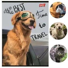 zeszyt-a5-60k-w-linie-mix-wzorow-unipap-traveler-do-polskiego