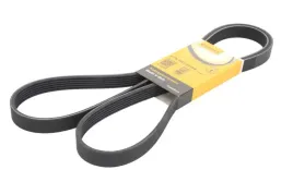 pasek-wielorowkowy-6pk1822