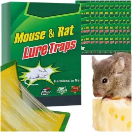 lep-na-myszy-pulapka-na-szczury-klej-lapka-lepowa-na-gryzonie-50-sztuk