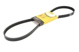 pasek-wielorowkowy-5pk1121