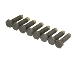 zestaw-srub-kola-zamachowego-pasuje-do-bmw-3-e46-x5-e53-z4-e85-