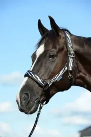 k-kantar-bucas-comfort-zebra-black-40350-80-full