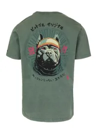 koszulka-pitbull-mt-fuji-washed-190-sage-green-m