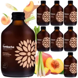 kombucha-vigo-brzoskwinia-trawa-cytrynowa-8x330ml-bio-orzezwienie