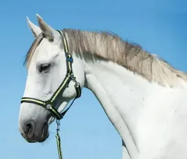 kantar-nylonowy-hippo-roz-2-antracyt-jasnozielony