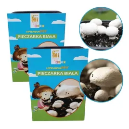 zestaw-exotic-grow-pieczarka-grzybnia-pieczarki-zestaw-dla-dzieci-3l-2szt