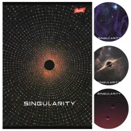zeszyt-w-linie-a5-majewski-80-kartek-do-jezyka-polskiego-boy-singularity