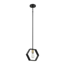 lampa-wiszaca-quoizel-bismarck-czarna-z-mosieznymi-akcentami-1xe27-60w