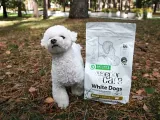 natures-protection-biale-psy-maltanczyk-15-kg-wiek-zwierzecia-brak-informacji