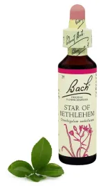29-star-of-bethlehem-sniedek-20-ml-nelson-bach