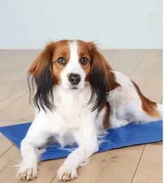 trixie-mata-dla-psa-niebieski-40-cm-x-50-cm