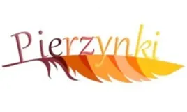 poduszka-40x40-ogrodowa-wzor-kwiaty-wodoodporna-balkon-taras
