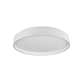 plafon-led-24w-40cm-z-pilotem-rl-felis-zmienna-barwa-swiatla