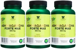 lanco-nutritions-ashwagandha-forte-max-666mg-180-kaps-latwejsze-zasypianie
