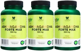 lanco-nutritions-ashwagandha-forte-max-666mg-180-kaps-lagodzenie-stresu