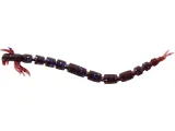 guma-westin-bloodteez-75cm-75