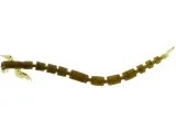 guma-westin-bloodteez-worm-55